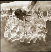Ice Chandelier neg scan.jpg