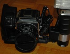 DSC_0811.JPG