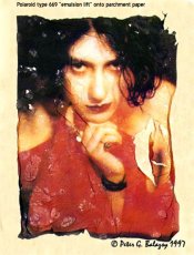 Polaroid-lift-1.jpg