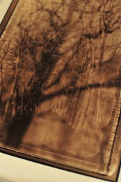 Bleach post Selenium 1.jpg