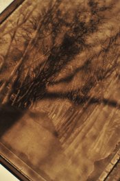 Bleach post Selenium 2.jpg