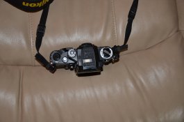 DSC_1718.jpg