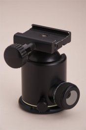 ZU4U9579.jpg