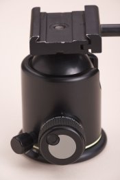 ZU4U9587.jpg