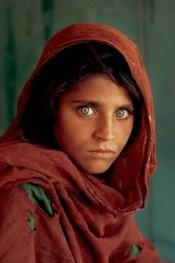 afghan.jpg