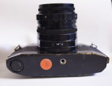 IMG_4774.jpg