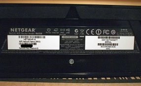 P5301909 (Medium).JPG