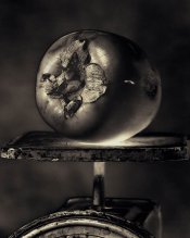 Veg Fruit612.jpg Veg Fruit612.jpg