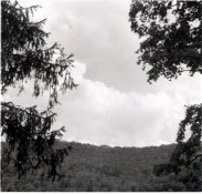 mamiya-6_006.jpg