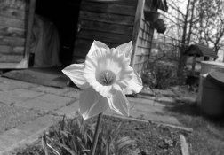 1-Kntmr 400 1-3 ID-11 & 1-115 Blznl  024.tif.jpg