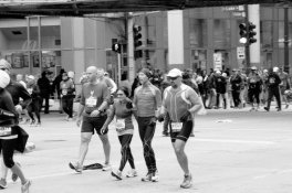 Strip5-01.JPG Strip5-01.JPG