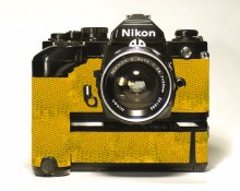 yellow.jpg