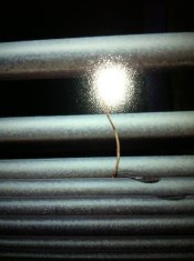 ImageUploadedByTapatalk1370897150.770598.jpg