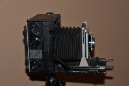 DSC_6422.jpg