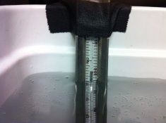 IMG_0976_1024.jpg