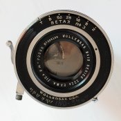 WollyShowingShutter.jpg