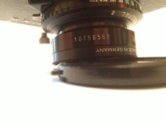 IMG_2803.jpg