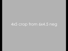 4x5-645.jpg