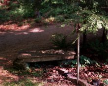 16-A_Frame-Hocking_Hills-06.05.13.jpg