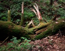 14-A_Frame-Hocking_Hills-06.05.13.jpg