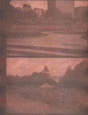 C41 Dev 6-17-13001 copy.jpg