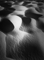 ImageUploadedByTapatalk 21371695166.096826.jpg ImageUploadedByTapatalk 21371695166.096826.jpg