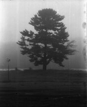 120N002247.jpg