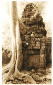 Ta-Prohm1_web.jpg