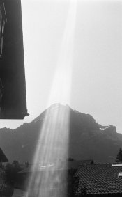 img559.jpg