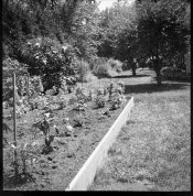 VerichromePanat16-HC110at1to50-Rodianlat1andahalfML-3200-08.jpg