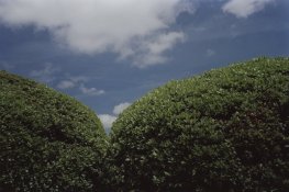 CE0030-ncc.jpg