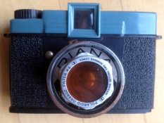DianaFilter.JPG