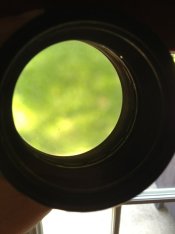 ImageUploadedByTapatalk 21375755176.909442.jpg