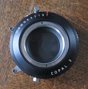 copal1.jpg