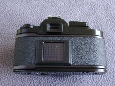 FG-1Back.JPG