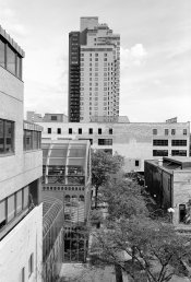 Office courtyard.jpg