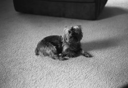 Leica test roll-249.jpg