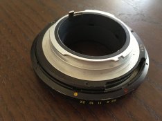 IMG_4837.jpg