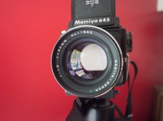 untitled shoot-Aug-18-2013__0005-3.jpg