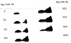 dye conc series.jpg