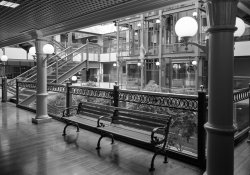 C42 office scenes-1.jpg