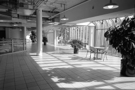 C42 office scenes-4.jpg