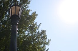 3514test-2.jpg