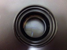 photo (6).jpg