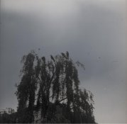 ImageUploadedByTapatalk1378184088.905134.jpg