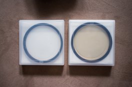 DSCF8915.jpg