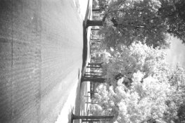 AAA009.JPG