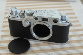 MAF_9532.JPG