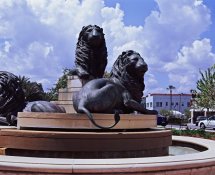 25280006-LR.jpg