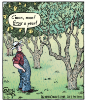 Pears.png